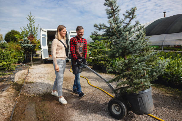 Best Lawn Irrigation Installation and Maintenance  in Shafter, CA